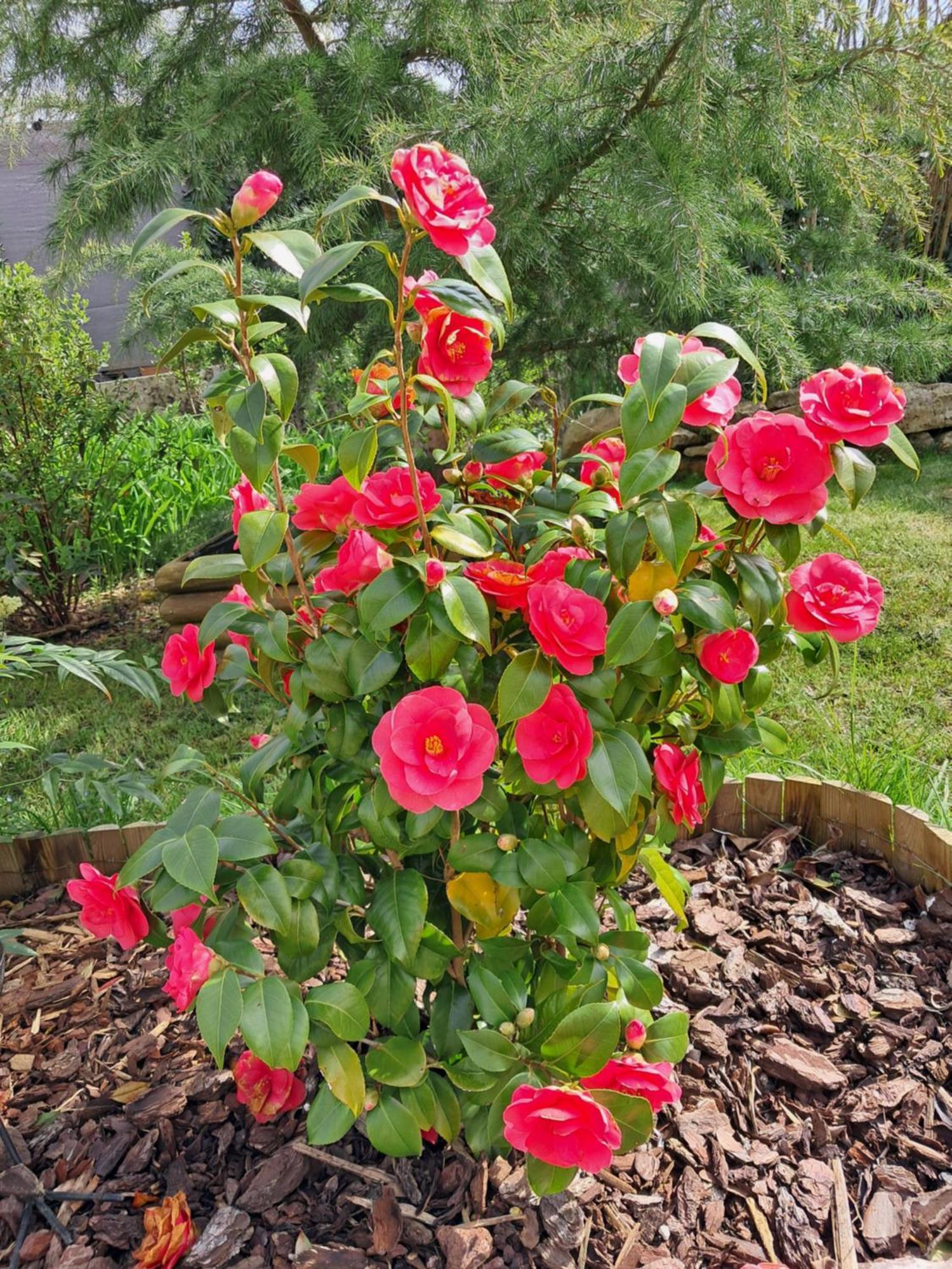 Maison Longere Les Camelias Vinneuf Eksteriør bilde